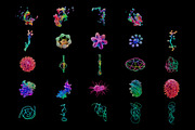 Cyber Coral - Abstract 3D Shapes, an Object Graphic by Dirtybarn (Thumbnail 7 of 7)