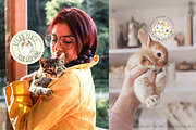 Vegan Cruelty Free Animals Stickers, an Object Graphic by Catherine Wheel (Thumbnail 4 of 12)