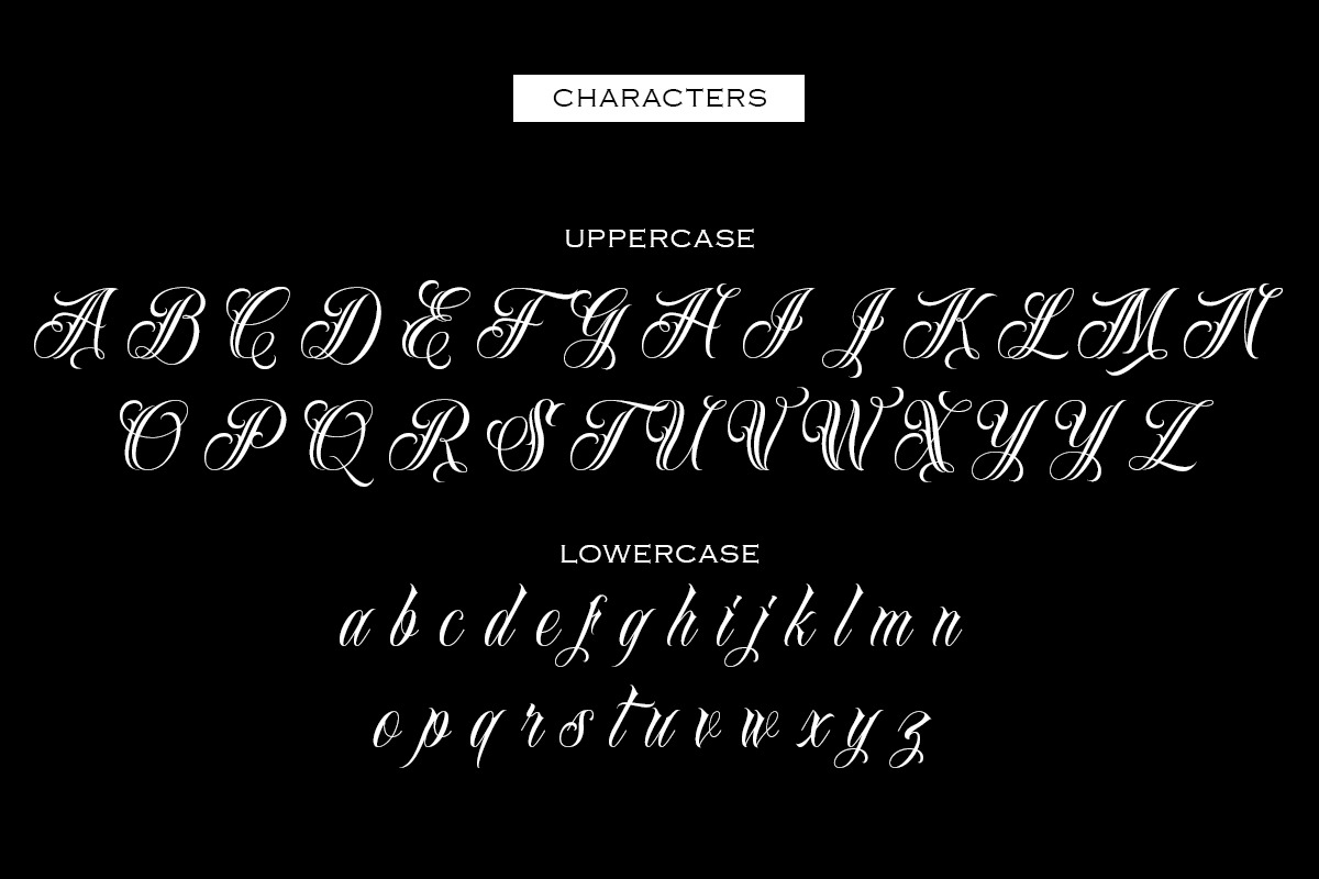 Loyalty - Bold Street Tattoo Script, a Script Font by Muntab_Art (Photo 6 of 8)
