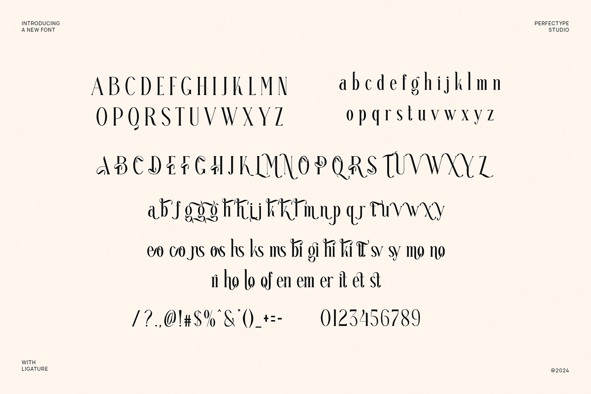 Reteons Elegant Ligature Serif Font, a Serif Font by Perfectype (Photo 6 of 6)