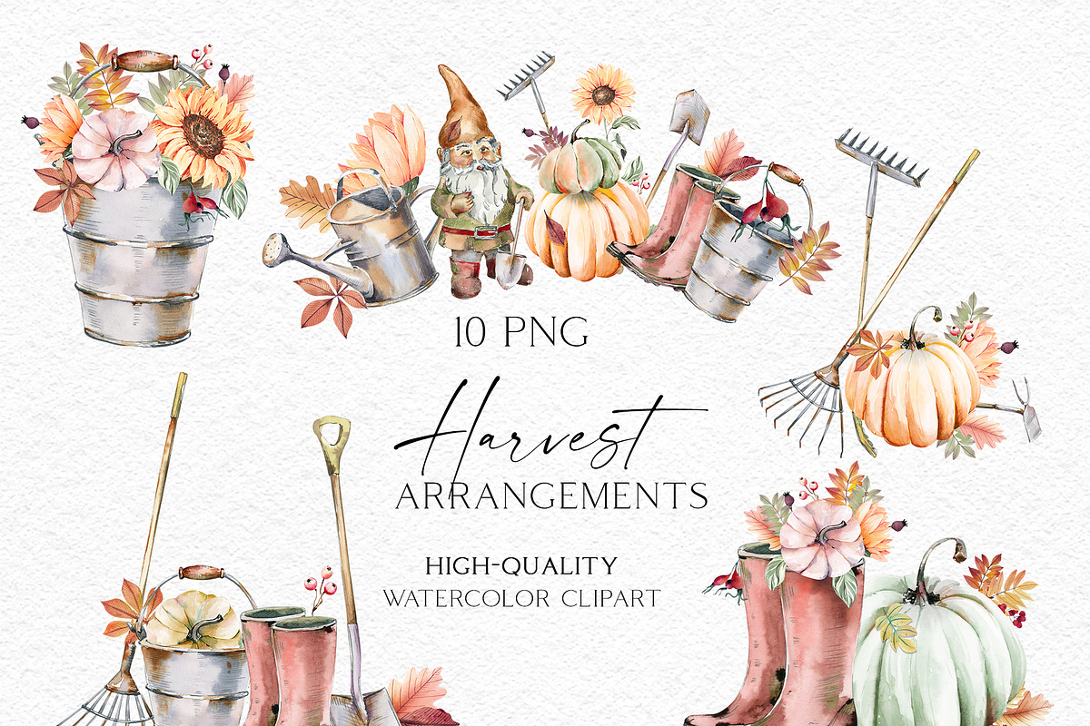 Harvest Time Watercolor Set, a Food Illustration by Olga Koelsch (Photo 12 of 14)