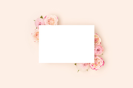 Clean paper card. Pink rose flowers, a Holiday Photo by rorygez fresh
