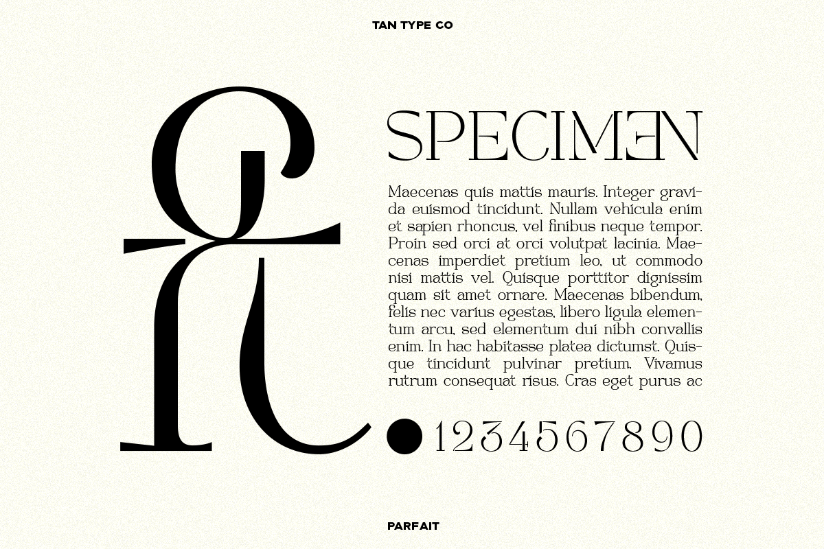 TAN - PARFAIT, a Serif Font by TanType (Photo 7 of 21)