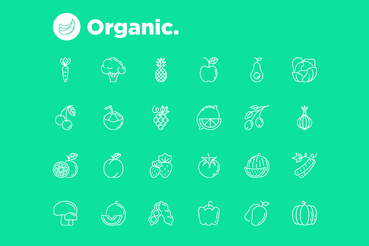 Organic | 25 Thin Line Icons, an Outline Icon by Alex Blogoodf (Photo 6 of 15)
