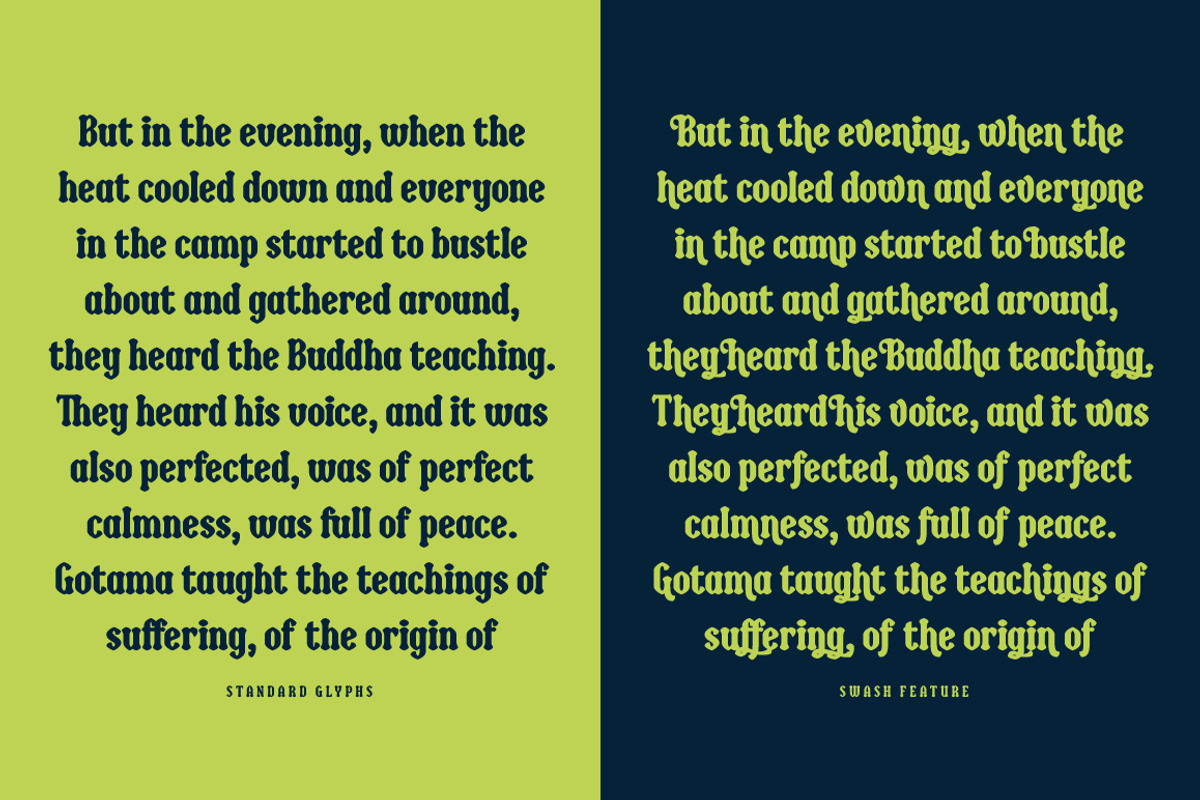 Bulbia, a Serif Font by Typogama (Photo 6 of 14)