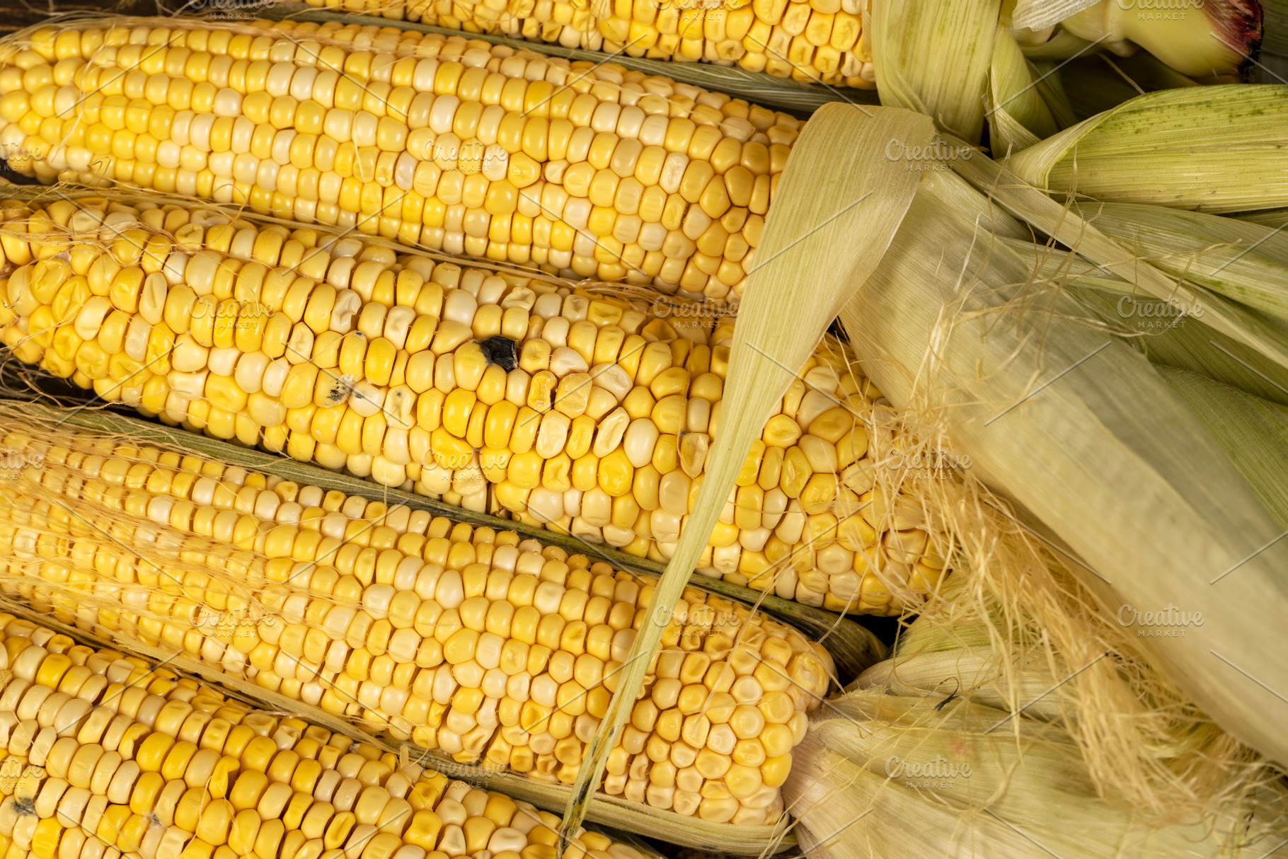 spoiled sweet corn cobs with ripe yellow grains, violation of the rules and con, a Photo by MyPhotos