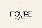 Figure Bold Serif Font, a Serif Font by gafaroff studio (Thumbnail 1 of 6)