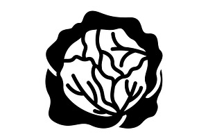Cole cabbage solid icon, a Solid Icon by Creative priyanka