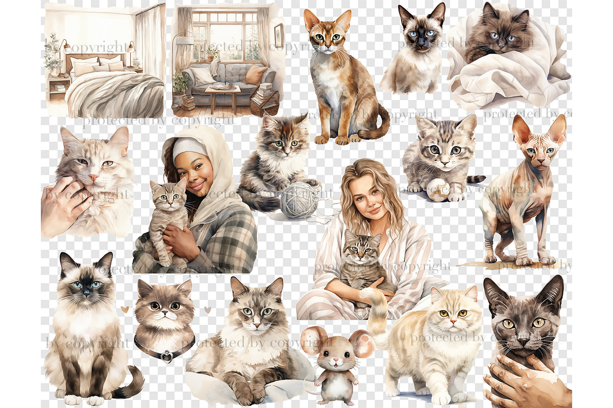Cat Lover Clipart | Pet Illustration, an Animal Illustration by GlamArtZhanna (Photo 6 of 6)