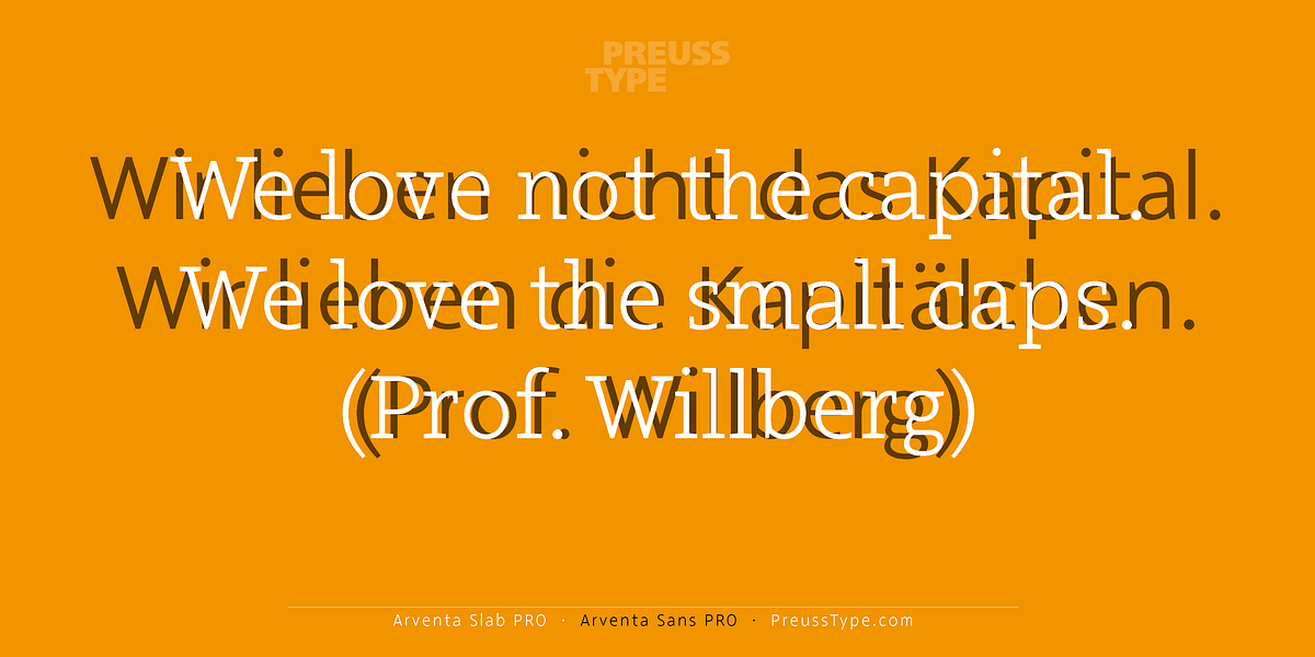 Arventa Slab Pro, a Slab Serif Font by preussTYPE (Photo 7 of 10)