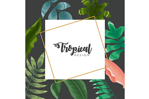square frame tropical design, an Illustration by studiogstock