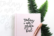 CATALINA MONOLINE, a Handwritten Font by supfonts (Thumbnail 5 of 6)