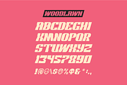 Woodlawn Font | 3 Styles, a Sans Serif Font by Bend Industries (Thumbnail 3 of 6)