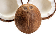 All Fruits Bundle Master Collection, a Food & Drink Photo by FlyeredTemplate (Thumbnail 63 of 130)