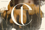 SLTF Night Windfall - Ligature Sans, a Sans Serif Font by SilverStag Type Foundry (Thumbnail 12 of 30)