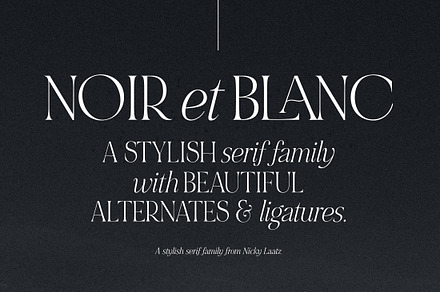 NOIR et BLANC Stylish Serif, a Serif Font by Nicky Laatz