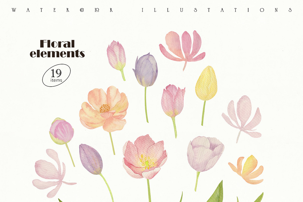 Tulip Watercolor Collection, a Decorative Illustration by Sunshine Art (Photo 2 of 8)