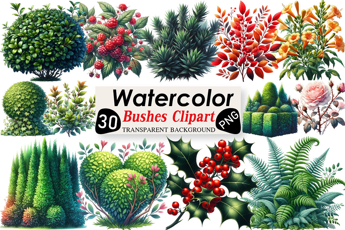 Watercolor Bushes Clipart Sublimatio, an Illustration by Black Bird Studio (Photo 1 of 6)