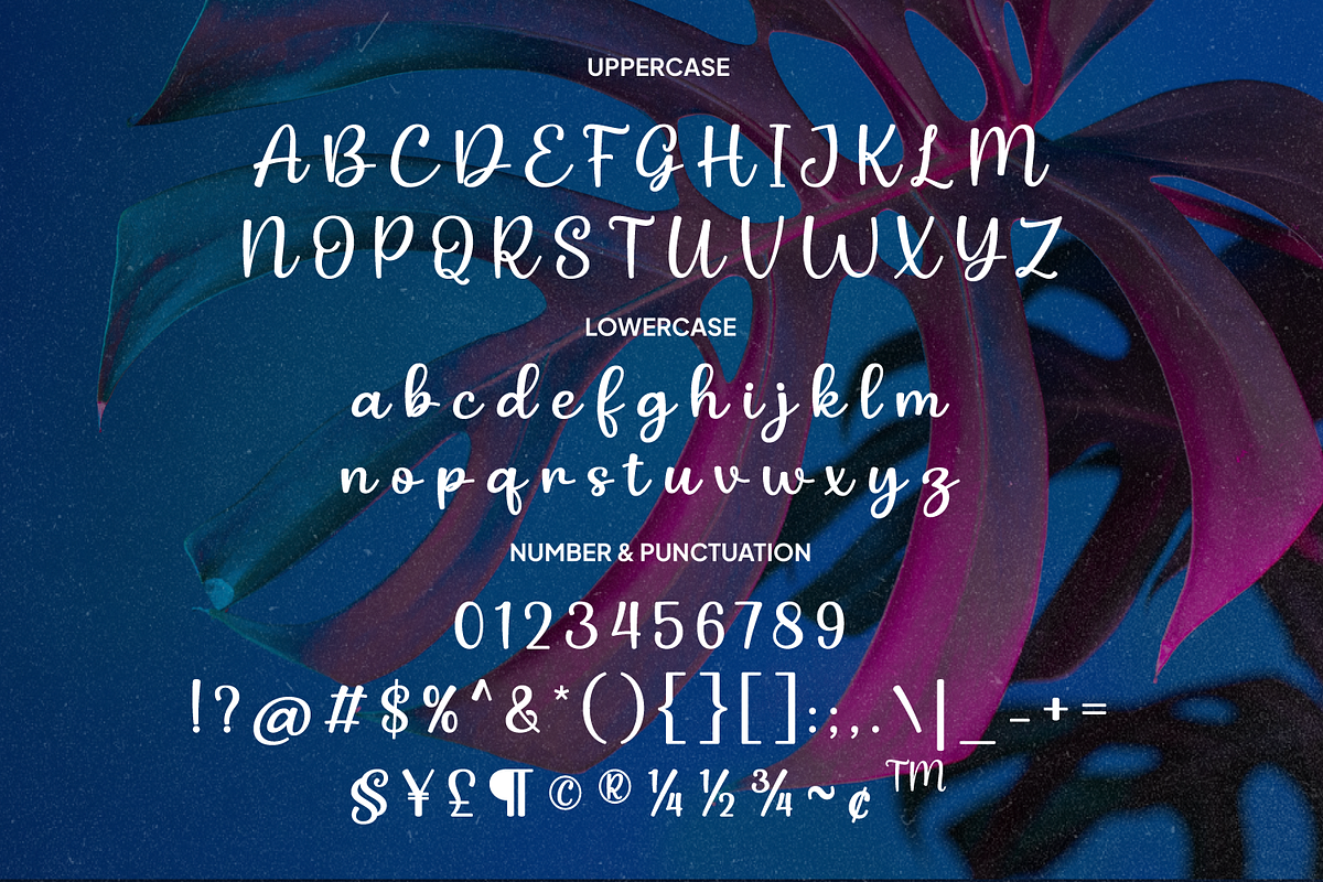 Gliselyn Elegant Retro Script, a Script Font by Haps Space (Photo 11 of 11)