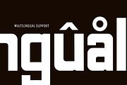 Arigaline Complete Family, a Sans Serif Font by Zone 6 (Thumbnail 14 of 14)