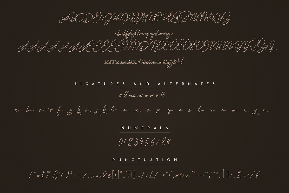 Elysian Script preview 7