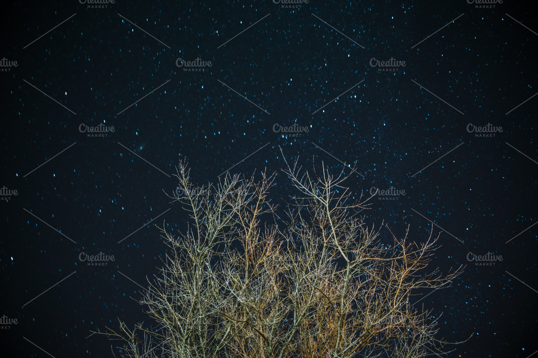 Starry Winter Night, a Nature Photo by Thought Box Media