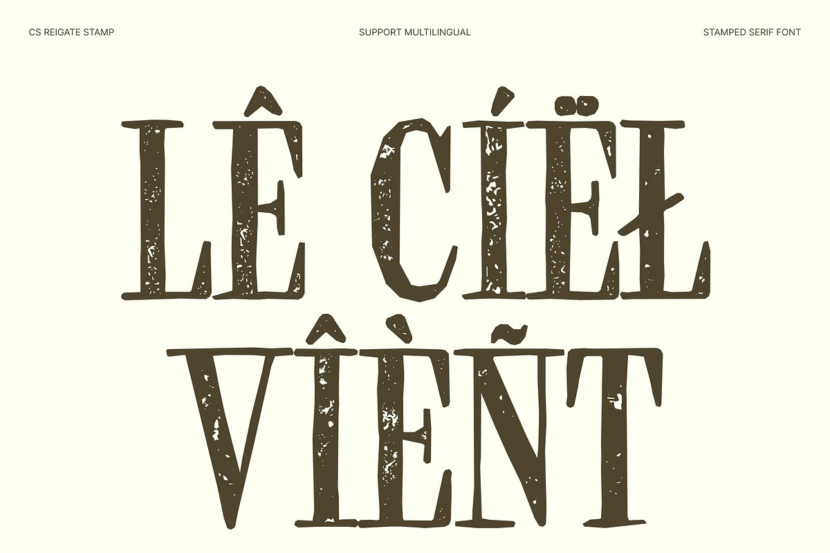CS Reigate Stamp, a Serif Font by Craft Supply Co. (Photo 7 of 8)