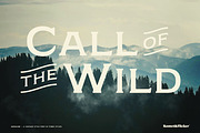 Germaine - A Vintage Style Font, a Serif Font by Komet & Flicker (Thumbnail 11 of 15)