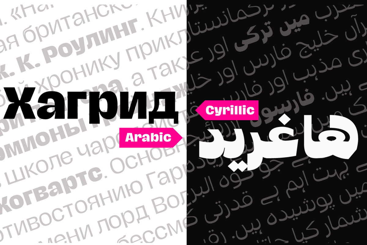 Hagrid 24 fonts + 4 variables, a Sans Serif Font by Zetafonts (Photo 16 of 17)