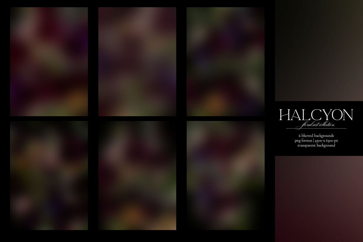 Halcyon Floral Art Collection, an Object Graphic by Eclectic Anthology (Photo 13 of 17)