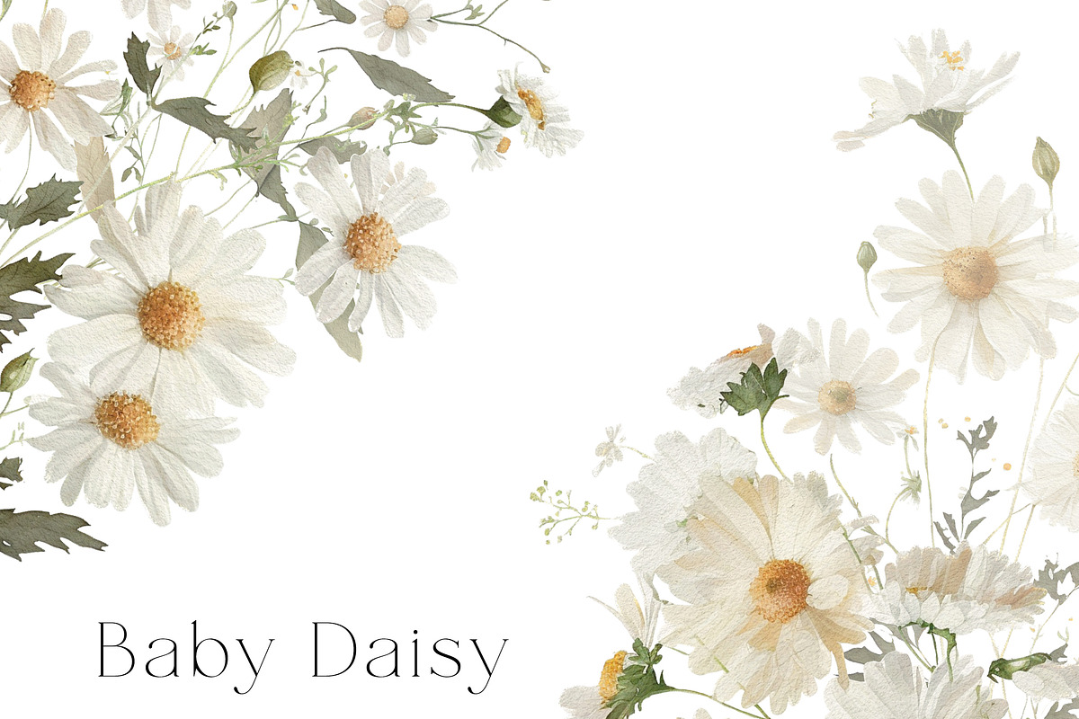 Baby Daisy Flower, a Decorative Illustration by heyiamalice (Photo 10 of 12)