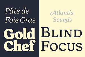 Forrest Friendly Serif Family