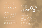 Xaver Nature Font, a Sans Serif Font by Xaver DesignStudio (Thumbnail 11 of 12)