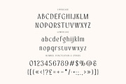 Angela Ravis Elegant Sans, a Sans Serif Font by Cruzine (Thumbnail 5 of 9)