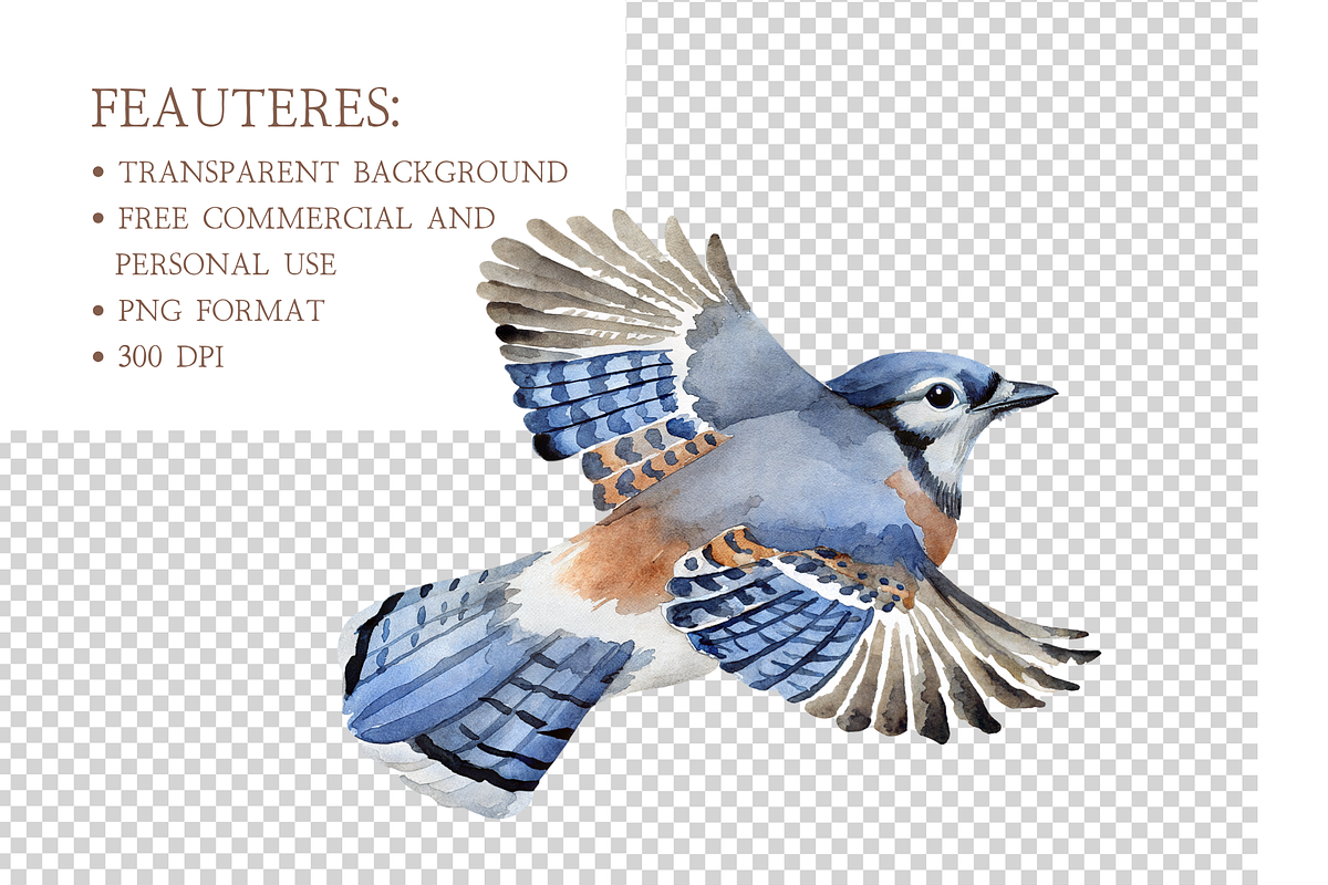 Watercolor Birds Clipart Collection, an Illustration by MockupWizard (Photo 4 of 5)