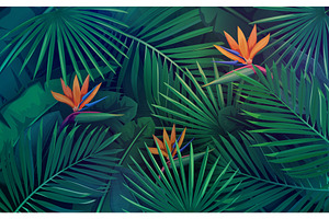 Tropical Background