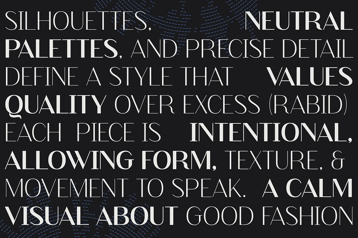 Finico Sans – Modern Editorial Sans, a Sans Serif Font by FactoryType Studio (Photo 8 of 11)
