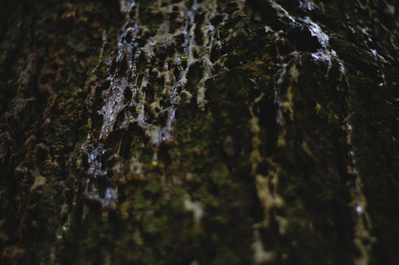 Tiny Icicles preview 3