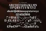 Raillinc Modern Display Serif Font, a Font by Storytype Studio (Thumbnail 17 of 19)