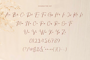 Ballory - Elegant Signature Font, a Script Font by Flawless And Co (Thumbnail 9 of 10)