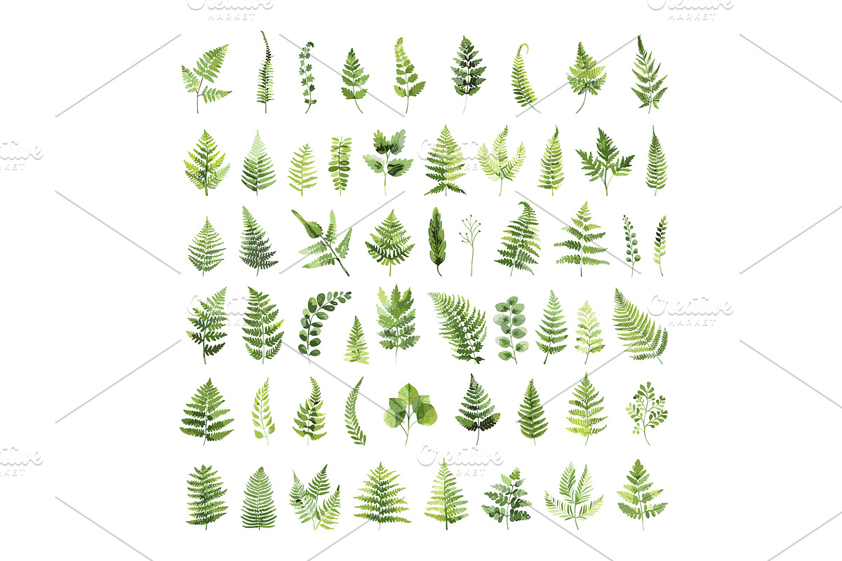 Ferns Watercolour Icons Set, an Object Illustration by LadadikArt