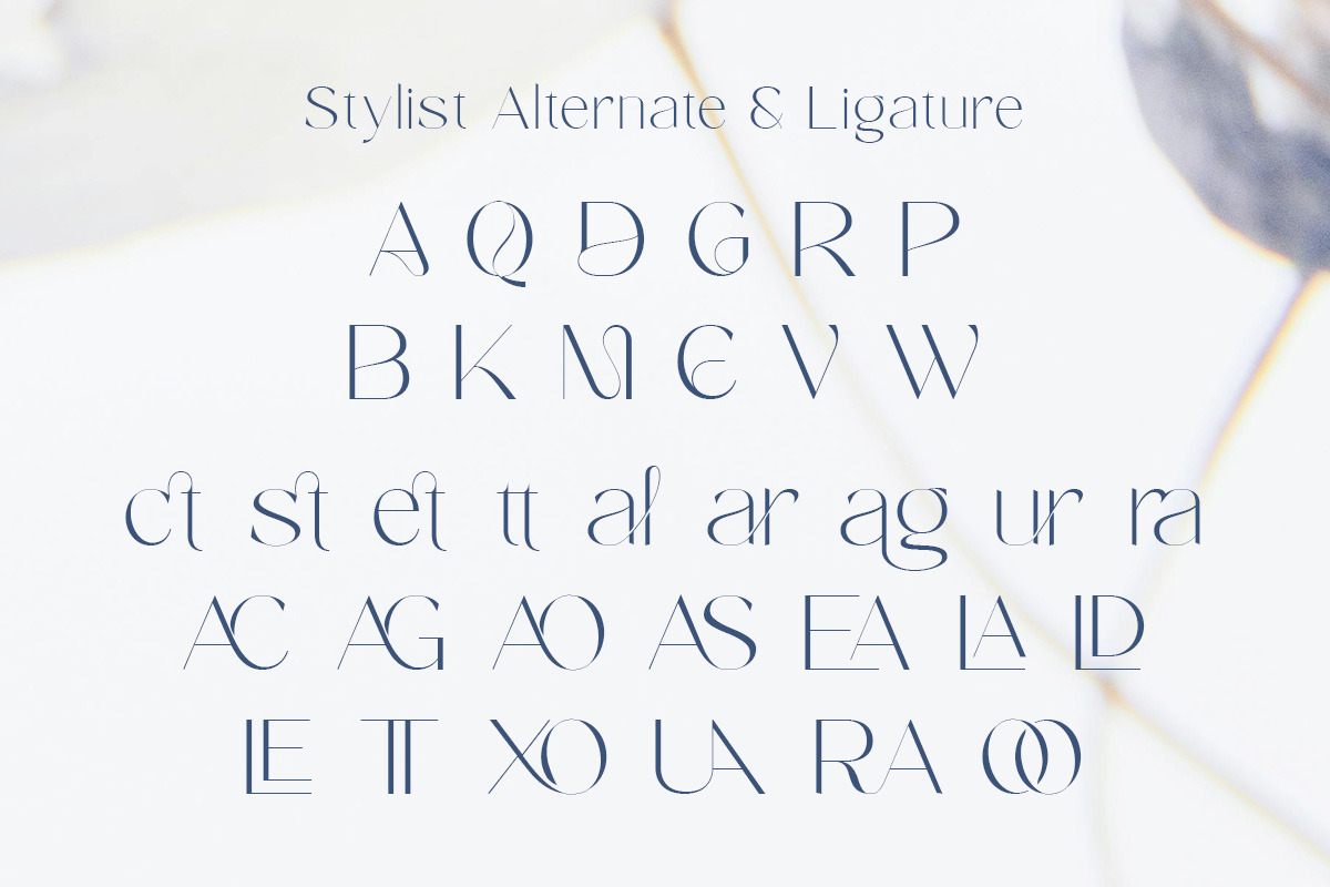 Moura - Modern Minimal Sans Serif, a Sans Serif Font by roomspace creative lab (Photo 9 of 11)