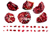 Pomegranate Watercolor, a Food Illustration by ArtOwl (Thumbnail 5 of 6)