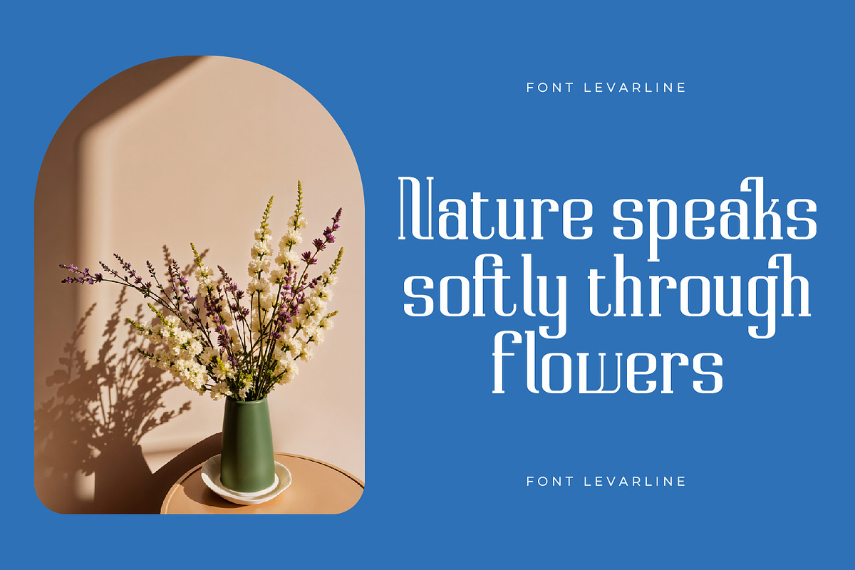 Levarline - Modern Serif Font, a Serif Font by Rishsketch (Photo 4 of 15)