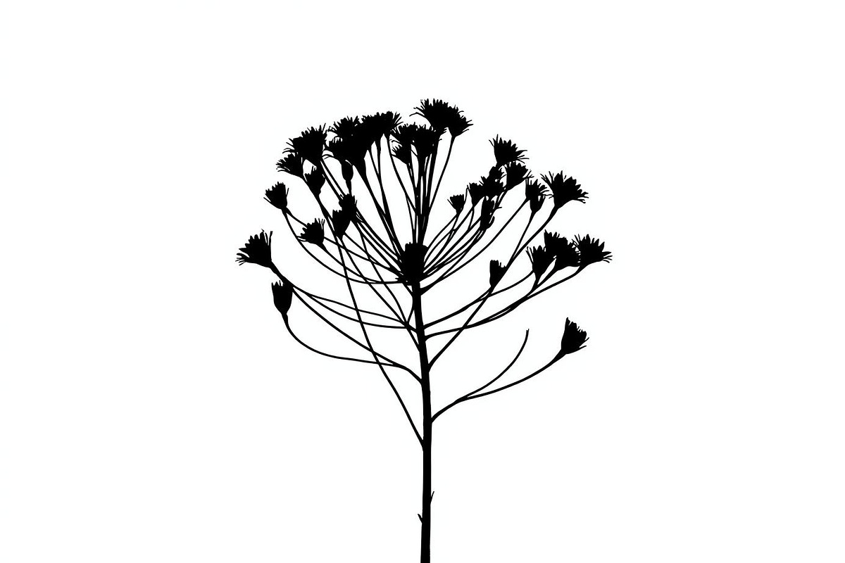 Meadow Flower Silhouette Vector, an Illustration by Designs_River (Photo 3 of 9)