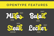 Leicester Script, a Script Font by hastatypestd (Thumbnail 2 of 8)