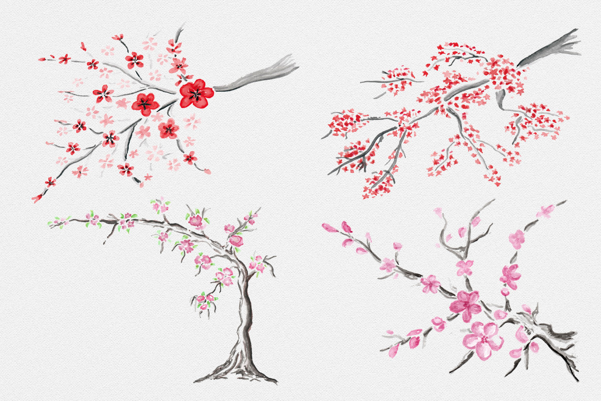 Sakura.  Japanese ink creator, an Illustration by GraphicHouse (Photo 4 of 10)