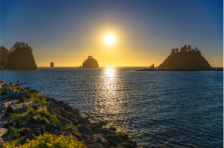 Sunset at La Push Beach in, a Nature Photo by Nick Fox