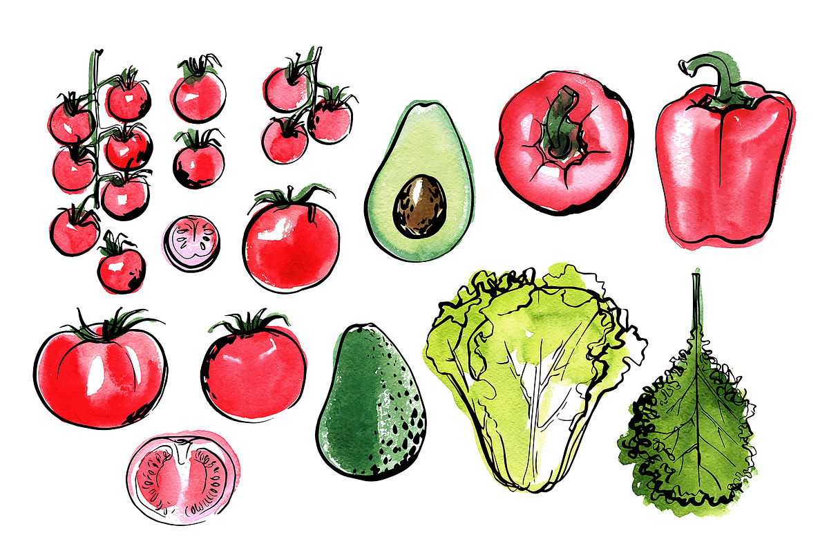 Vegetables vector sketch watercolor, a Food Illustration by irina.vaneeva (Photo 2 of 18)