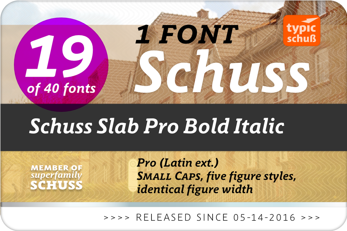 SchussSlabProBoldIta No.19 (1 Font) preview 2